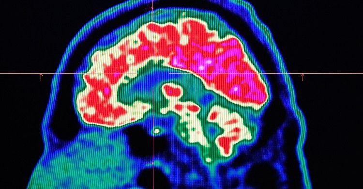 মৃত্যুর পর কী ঘটে? নতুন গবেষণায় ভিন্ন দাবি