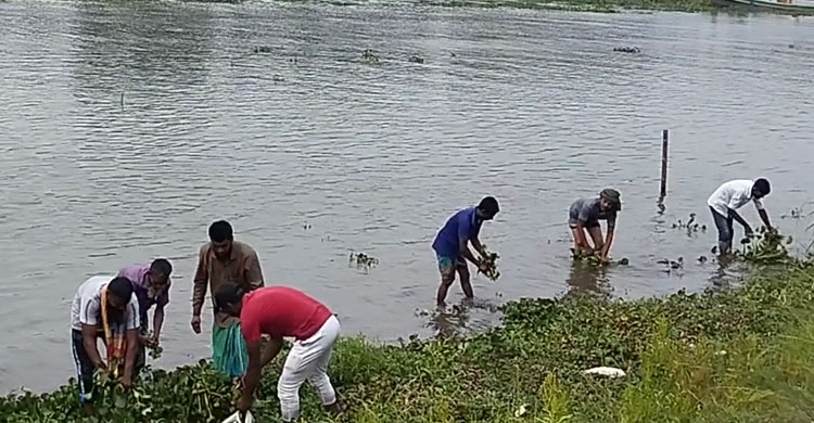 প্যাকেটজাত &lsquo;জলকমলে&rsquo; আগ্রহ বাড়ছে কৃষকদের