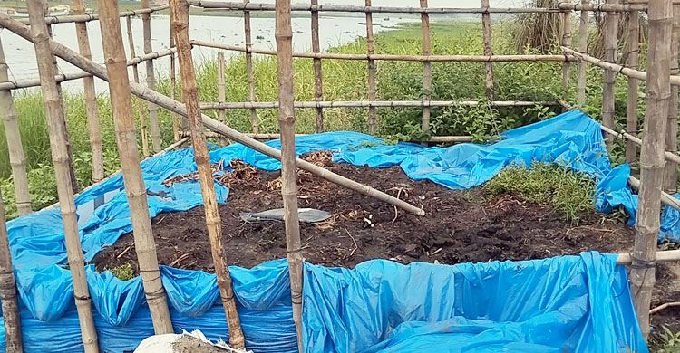 প্যাকেটজাত &lsquo;জলকমলে&rsquo; আগ্রহ বাড়ছে কৃষকদের