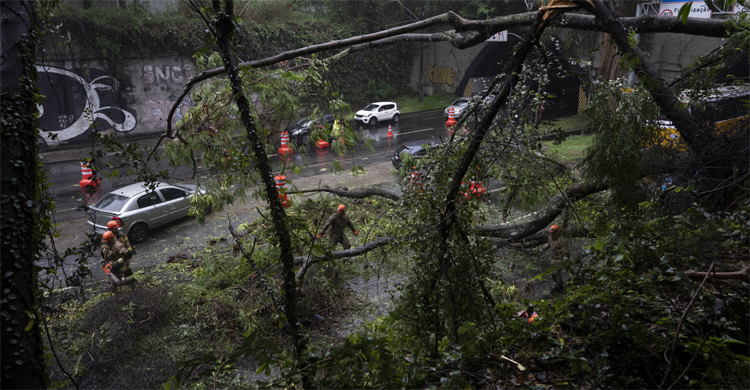 ব্রাজিলে টর্নেডোর আঘাতে পাঁচজন নিহত, আহত ১৩০