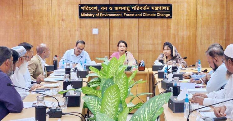 3,491 illegal brick kiln to be shut down, says Rizwana