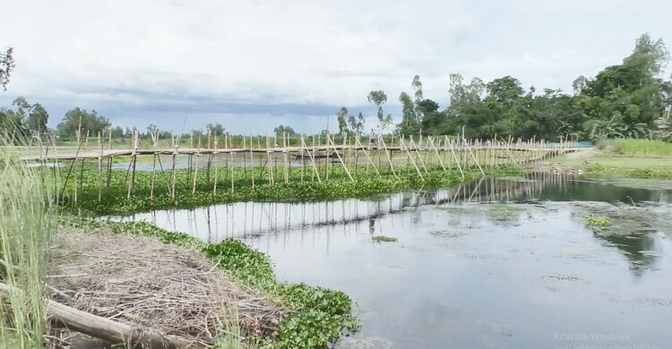 একটি সেতুর অভাবে দুর্ভোগে ৩০ গ্রামের মানুষ