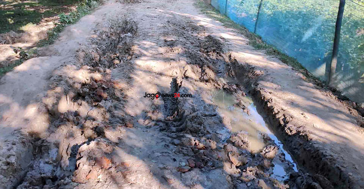 আধা কিলোমিটার সড়কের অভাবে কাজে আসছে না ৯ কোটির সেতু