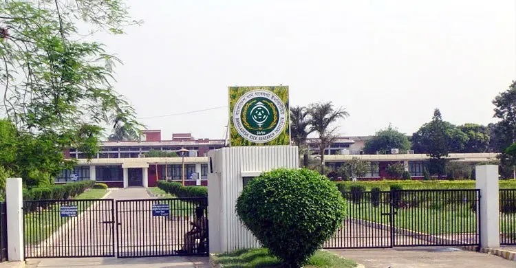 ৪৮ জনকে নিয়োগ দেবে ধান গবেষণা ইনস্টিটিউট