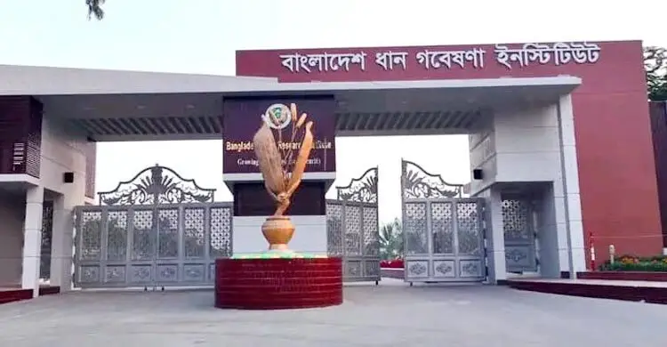 নিয়োগ প্রক্রিয়ায় দুর্নীতি, উত্তাল ধান গবেষণা ইনস্টিটিউট