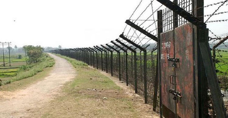 মহেশপুর সীমান্তে শিশুসহ আটক ১৪