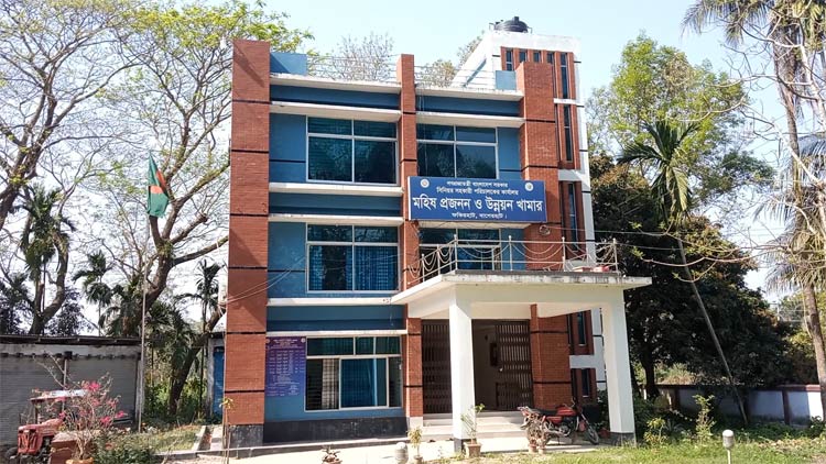 জনবল সংকটে ধুঁকছে দেশের একমাত্র মহিষ প্রজনন খামার