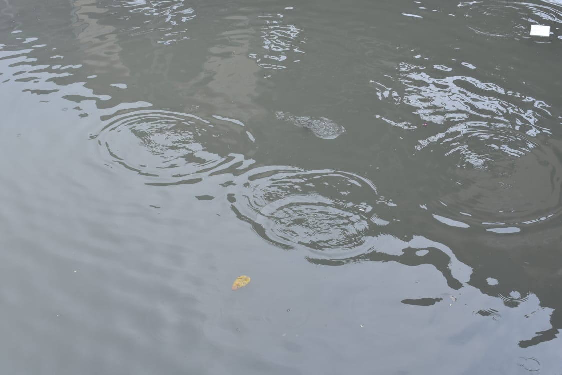 বর্ষার ছোঁয়ায় প্রাণ ফিরে পায় বুড়িগঙ্গা