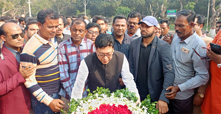 ‘স্বতন্ত্র প্রার্থী মানেই ডামি, যাদের নলও নাই গুলিও নাই’