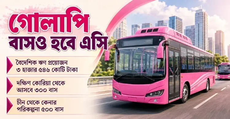 ৮০০ ইলেকট্রিক বাস কিনবে সরকার, বাড়বে নারীদের ‘গোলাপি বাস’