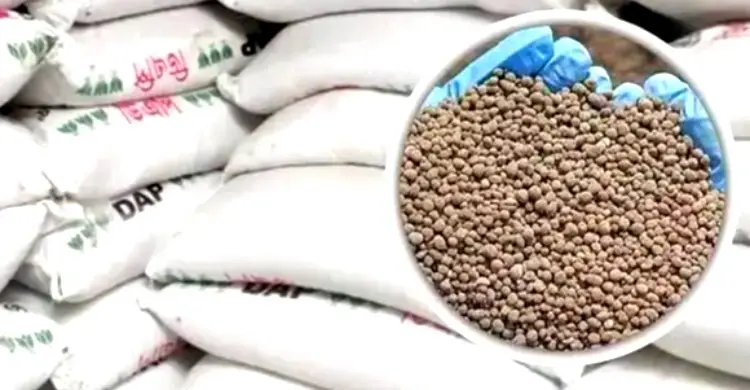 চুয়াডাঙ্গায় সারের ৪৫ ডিলারশিপ পেতে ৬৪৩ আবেদন