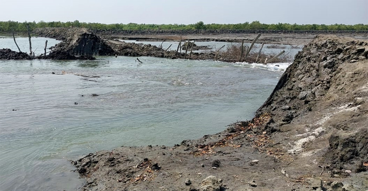 দখলমুক্ত হলো বন কেটে ঘের করা ২০০ হেক্টর বনভূমি