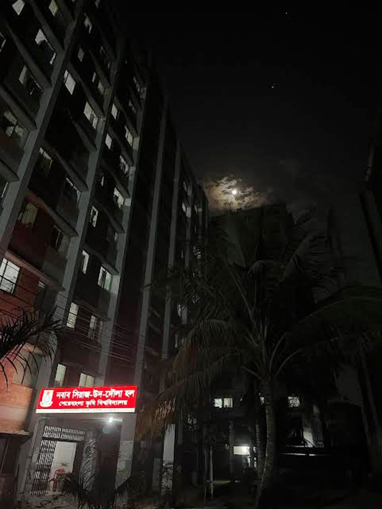 মাদক-র‌্যাগিংয়ে দিশেহারা শেকৃবি