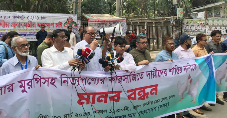 সিন্ডিকেট করে মুরগির বাজার লুটকারীদের শাস্তি দাবি ক্যাবের