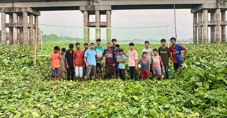 কচুরিপানার দখলে খরস্রোতা ধনাগোদা