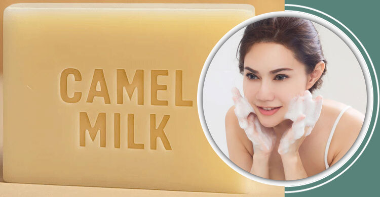 উটের দুধের সাবান কি ত্বকের জন্য উপকারী