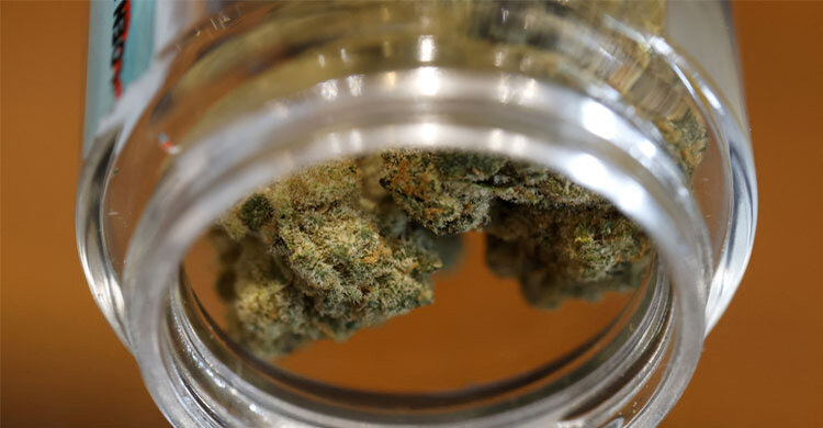 ২৪ কেজি গাঁজাসহ ৩ নারী গ্রেফতার