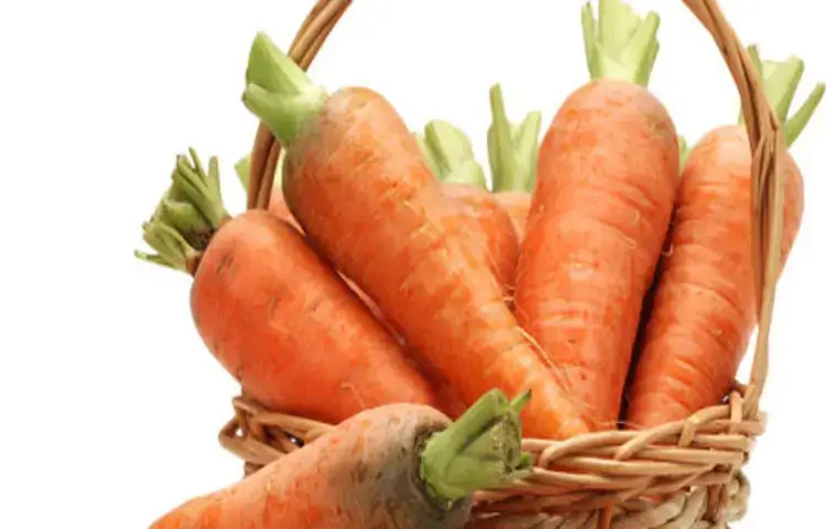 চোখের আলো থেকে ত্বকের জেল্লা সবই মিলবে গাজরে