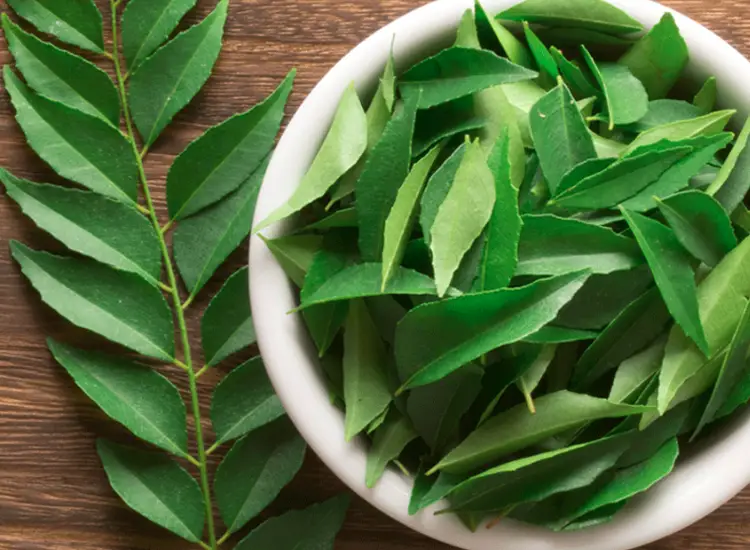 কারি পাতার ব্যবহার