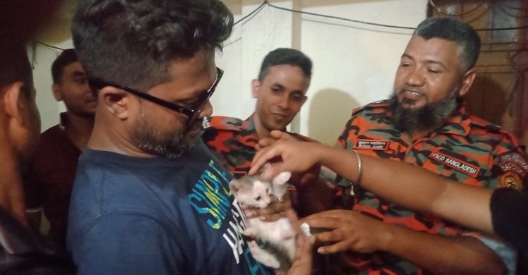 দুই ভবনের মাঝে আটকে ছিল বিড়ালের বাচ্চা, ফায়ার সার্ভিস ডেকে উদ্ধার
