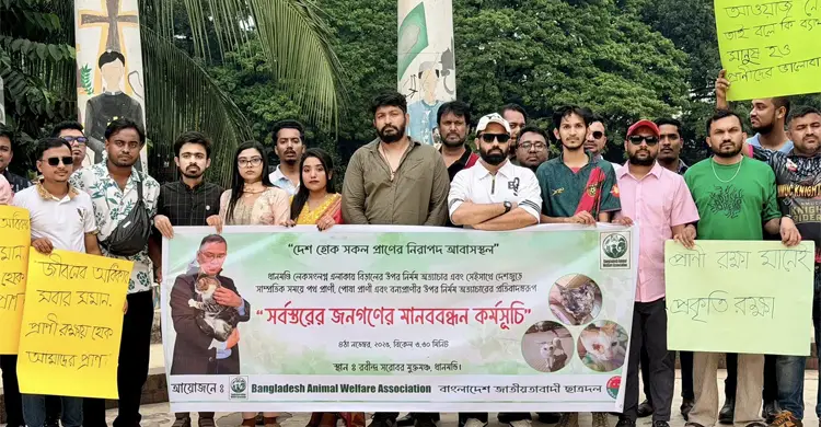ধানমন্ডিতে একের পর এক চোখ উপড়ে ফেলা হচ্ছে বিড়ালের, তদন্তে পুলিশ