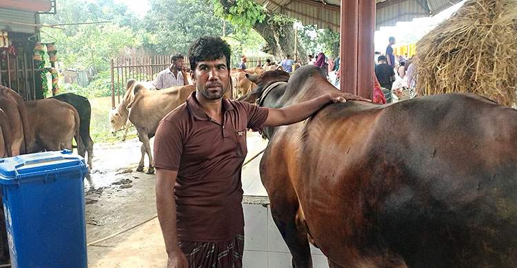 জামালপুরের ৪০০ গরু নিয়ে ঢাকার পথে ক্যাটল স্পেশাল ট্রেন