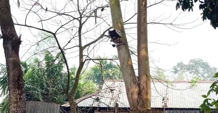 কুড়িগ্রাম সীমান্তের শূন্যরেখায় সিসি ক্যামেরা স্থাপন করলো বিএসএফ