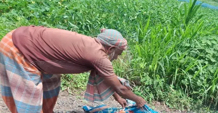 চুয়াডাঙ্গায় রেললাইনের পাশে মিলল ক্ষতবিক্ষত নারীর মরদেহ