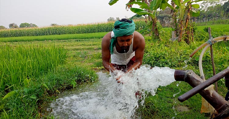 চুয়াডাঙ্গায় আবার বেড়েছে তাপপ্রবাহ, যে সংকেত দিচ্ছে আবহাওয়া
