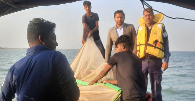 মেঘনায় কম্বিং অপারেশনে লাখ মিটার কারেন্ট জালসহ জাটকা জব্দ
