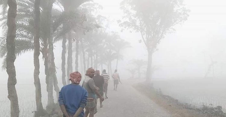 তাপমাত্রা বাড়লেও চুয়াডাঙ্গায় শৈত্যপ্রবাহে দুর্ভোগে মানুষ