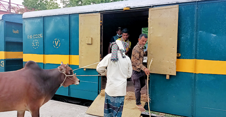 উদ্বোধনের পরদিনই বন্ধ ম্যংগো স্পেশালের পশুবাহী ওয়াগন