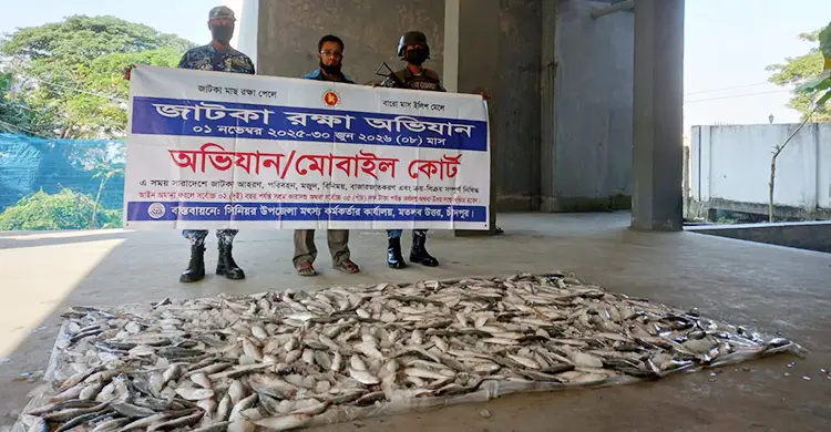 মেঘনায় লঞ্চ থেকে ২৫০ কেজি জাটকা জব্দ, দুস্থদের মাঝে বিতরণ