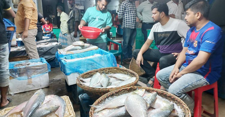 সারাদেশে ইলিশের মূল্য নির্ধারণ করছে সরকার
