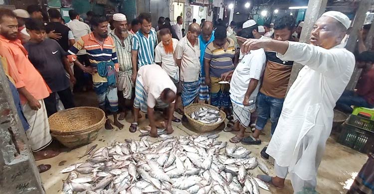 নিষেধাজ্ঞা শেষে নদীতে জেলেদের ব্যস্ততা, মাছঘাটে কর্মচাঞ্চল্য