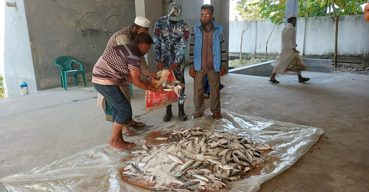 মেঘনায় লঞ্চ থেকে ২৫০ কেজি জাটকা জব্দ, দুস্থদের মাঝে বিতরণ