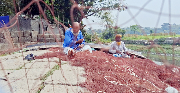 জাটকা রক্ষায় দুই মাস সব ধরনের মাছ ধরা বন্ধ