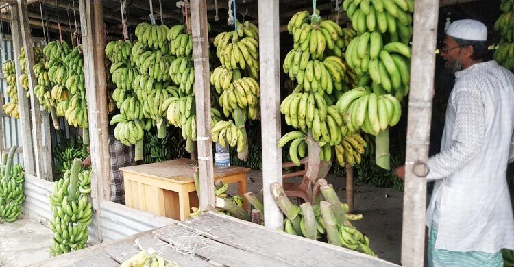 কলায় ক্ষতিকর কেমিক্যাল, ব্যবসায়ীকে জরিমানা