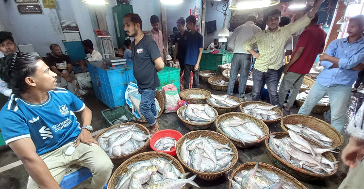 সরবরাহ কম, নাগালের বাইরে ইলিশের দাম