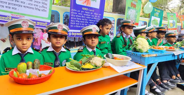চাঁদপুরে ব্যতিক্রমী দেশজ সবজি উৎসব