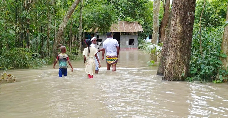 মেঘনার পানি বিপৎসীমার ওপরে, উপকূলীয় অঞ্চল প্লাবিত