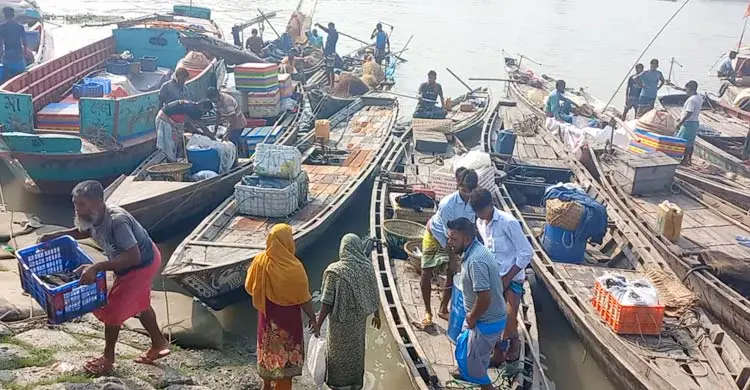 নিষেধাজ্ঞা শেষে নদীতে জেলেদের ব্যস্ততা, মাছঘাটে কর্মচাঞ্চল্য