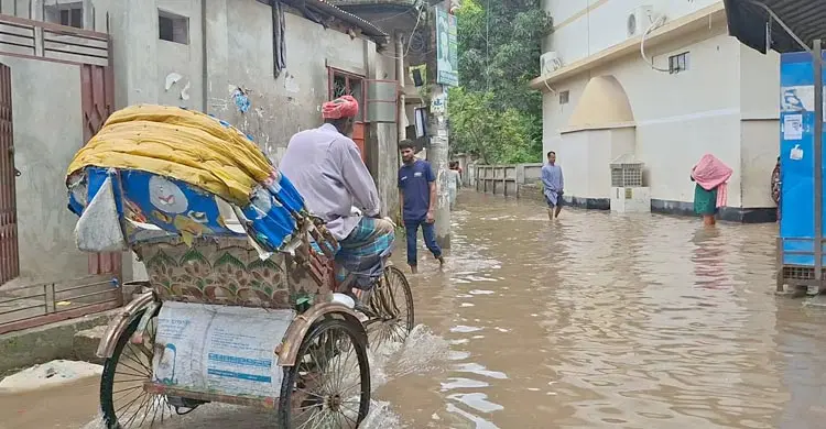 ভারী বর্ষণে বিপর্যস্ত চাঁদপুর, পানিবন্দি নিচু এলাকা