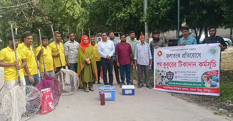 চাঁদপুরে ৩ শতাধিক পথ কুকুরকে দেওয়া হবে জলাতঙ্ক টিকা