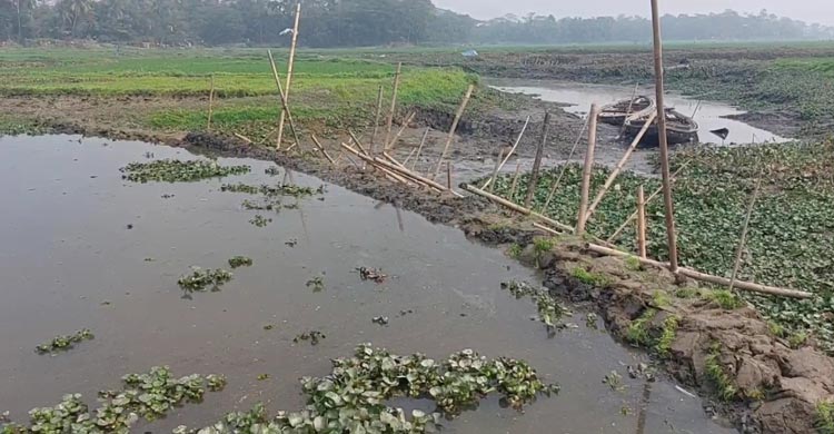 চাঁদপুরে ডাকাতিয়া নদীতে বাঁধ দিয়ে মাছ শিকারে নেমেছে এক শ্রেণির অসাধু চক্র। এতে করে পানি সংকটে পড়েছেন ওই এলাকার হাজারো কৃষক