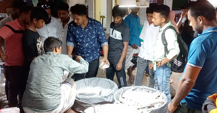 ইলিশের মূল্য নির্ধারণ হলে বিক্রি বন্ধের হুঁশিয়ারি ব্যবসায়ীদের