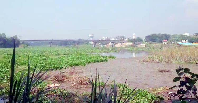 ডাকাতিয়ার পাড়ে অধিগ্রহণ হচ্ছে চাঁদপুর মেডিকেল কলেজের জমি