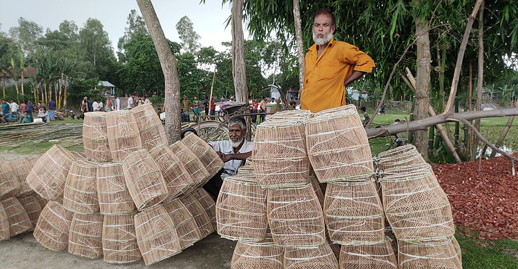 নদীর পানি বাড়তেই কদর বেড়েছে দারকির