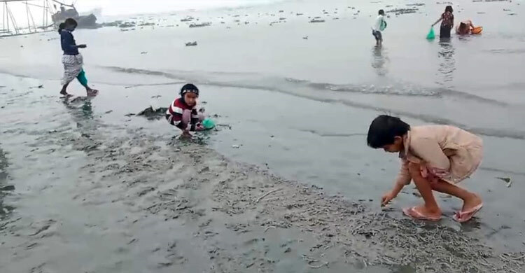 নদী দূষণ: মেঘনায় ভেসে উঠছে মরা মাছ