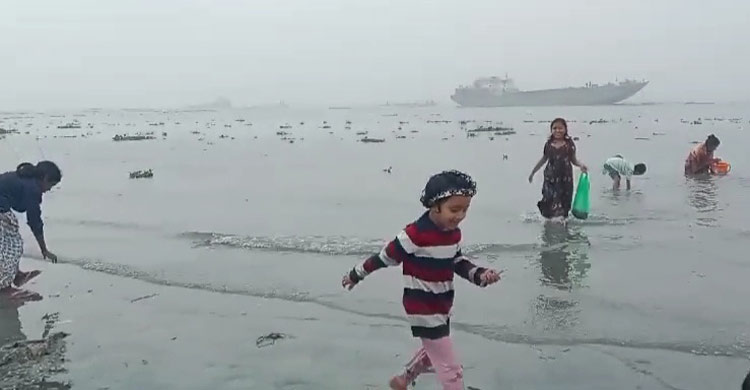 নদী দূষণ: মেঘনায় ভেসে উঠছে মরা মাছ